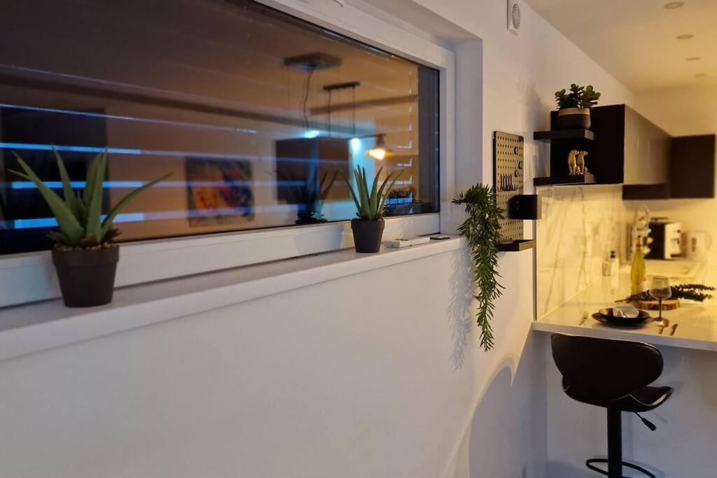 Suite Prestige Logement Neuf Avec Spa Et Ecran De Cinema En Rez De Jardin コルマール エクステリア 写真