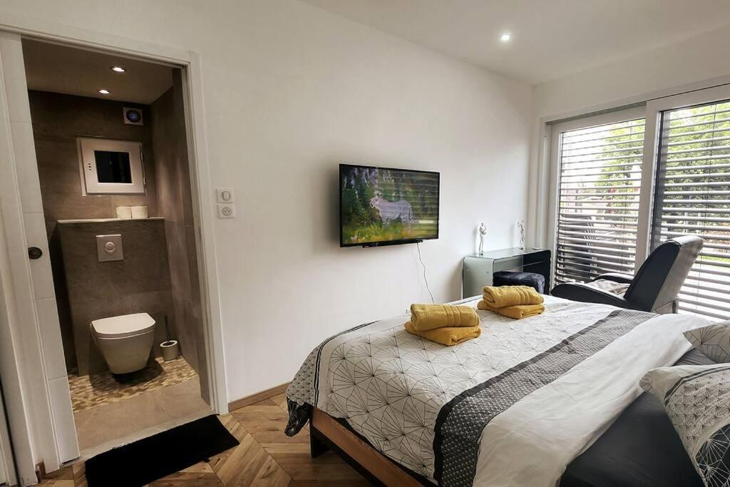 Suite Prestige Logement Neuf Avec Spa Et Ecran De Cinema En Rez De Jardin コルマール エクステリア 写真