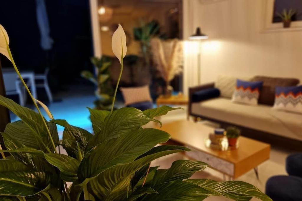 Suite Prestige Logement Neuf Avec Spa Et Ecran De Cinema En Rez De Jardin コルマール エクステリア 写真