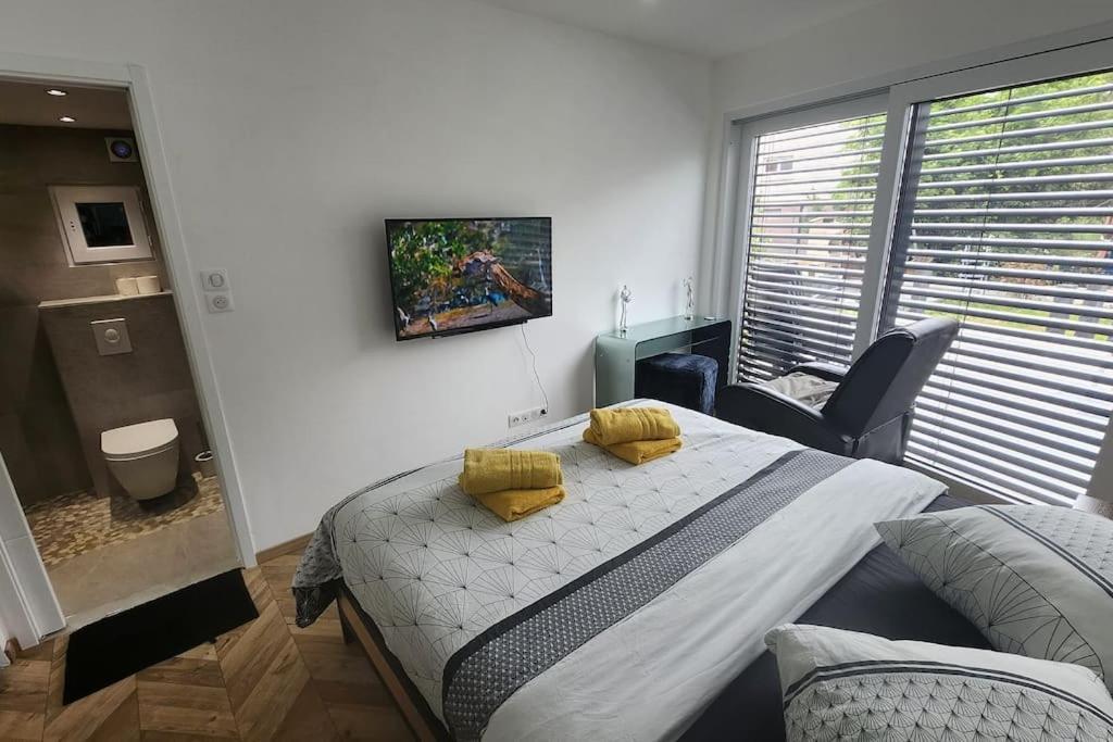 Suite Prestige Logement Neuf Avec Spa Et Ecran De Cinema En Rez De Jardin コルマール エクステリア 写真