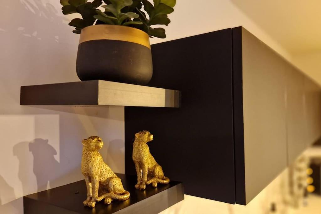 Suite Prestige Logement Neuf Avec Spa Et Ecran De Cinema En Rez De Jardin コルマール エクステリア 写真