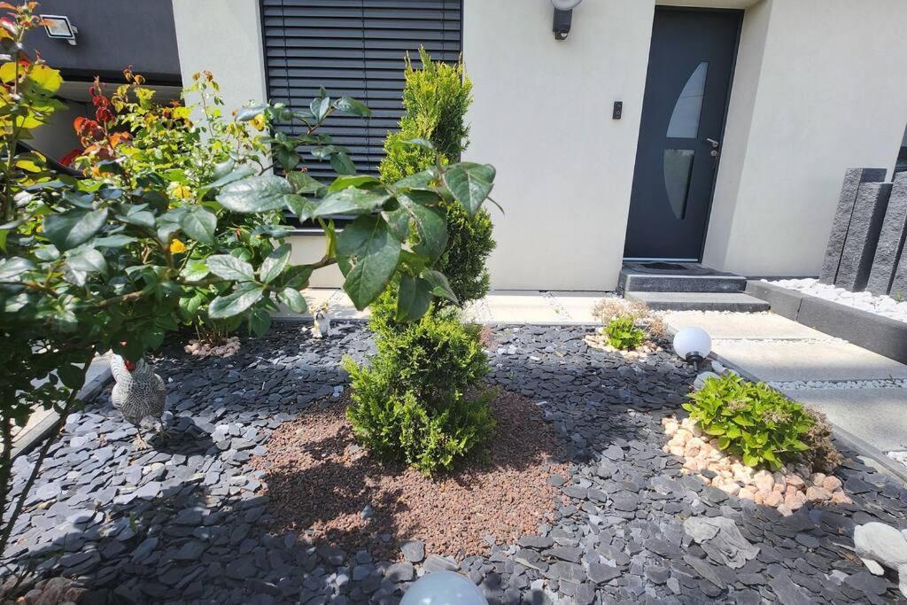 Suite Prestige Logement Neuf Avec Spa Et Ecran De Cinema En Rez De Jardin コルマール エクステリア 写真