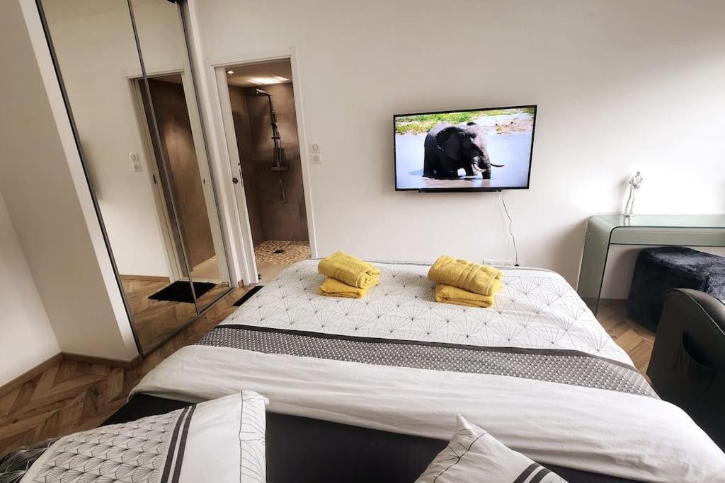 Suite Prestige Logement Neuf Avec Spa Et Ecran De Cinema En Rez De Jardin コルマール エクステリア 写真